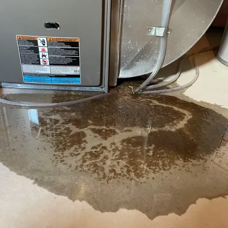 Appliance Leak Cleanup in Mill Valley, CA